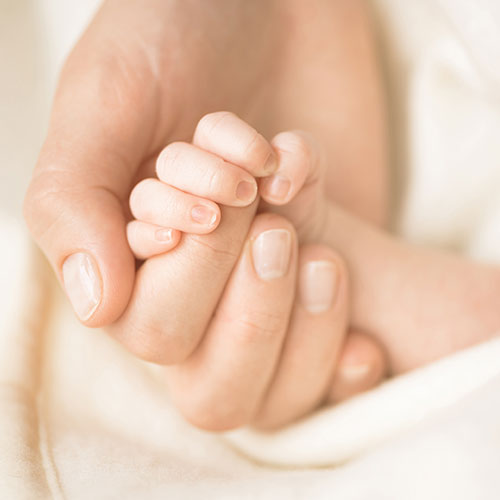 Say hello to Emme – Butterworth Barlow has a new arrival!